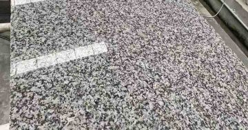 南宁 芙蓉白光面