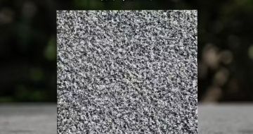 南宁 芝麻黑荔枝面