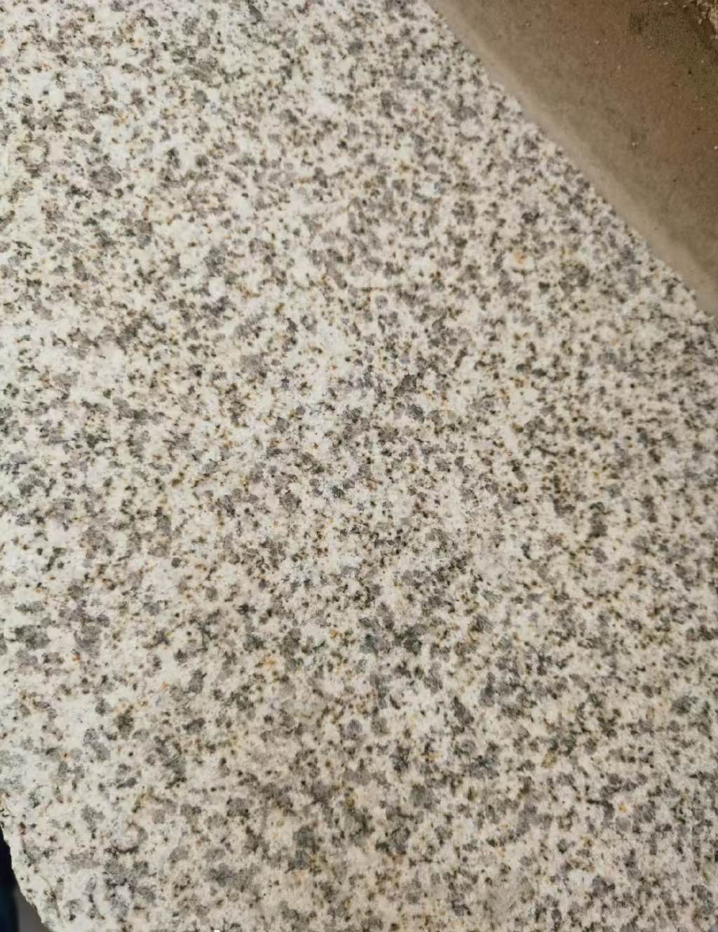 南宁 黄金麻中黄光面