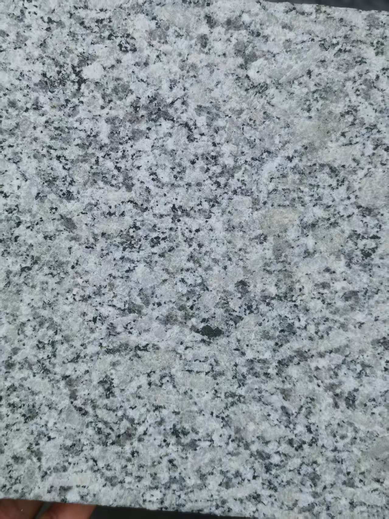 南宁 芙蓉白火烧面