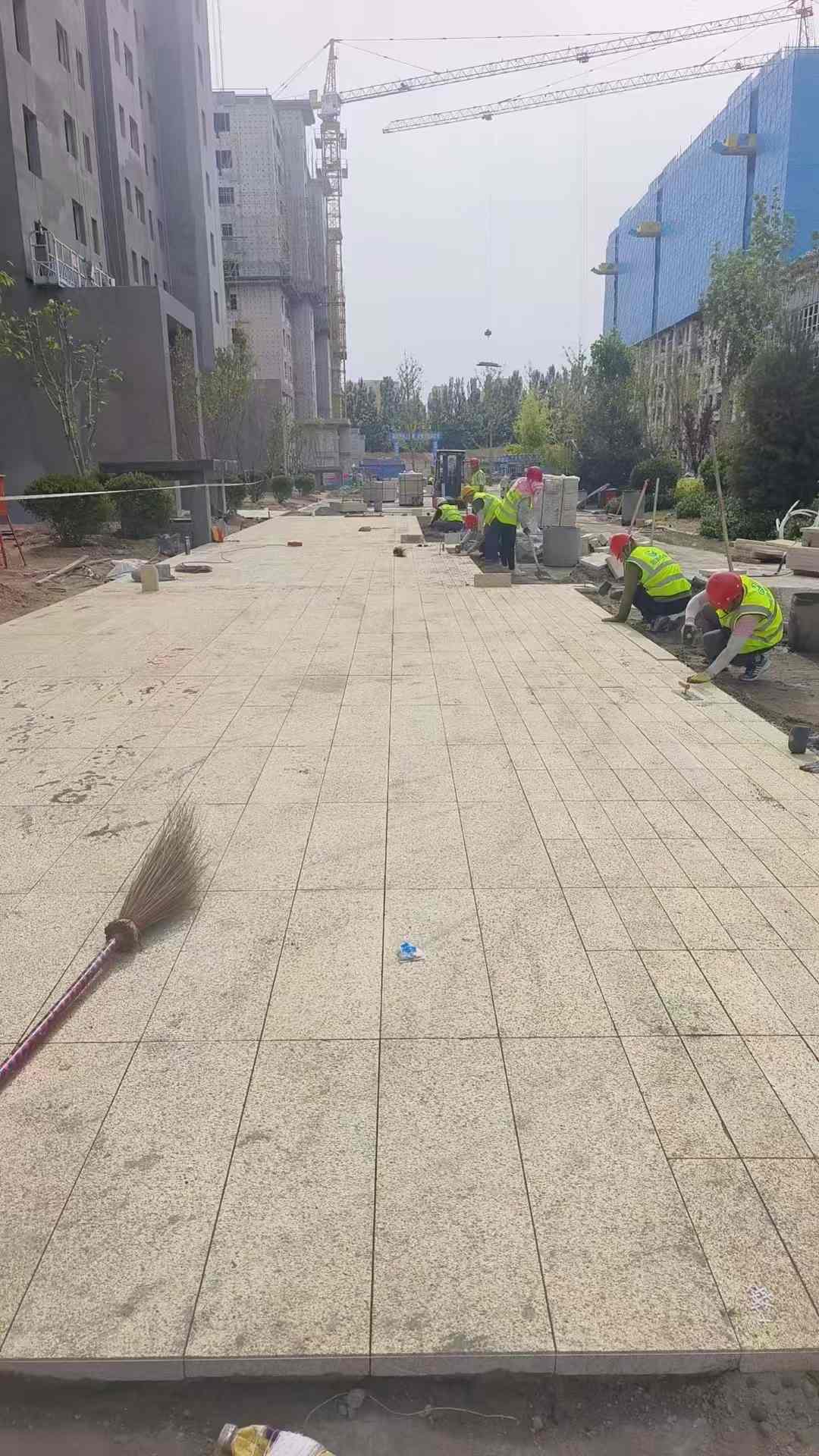 南宁黄金麻荔枝面地铺案例